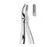 Extracting Forceps